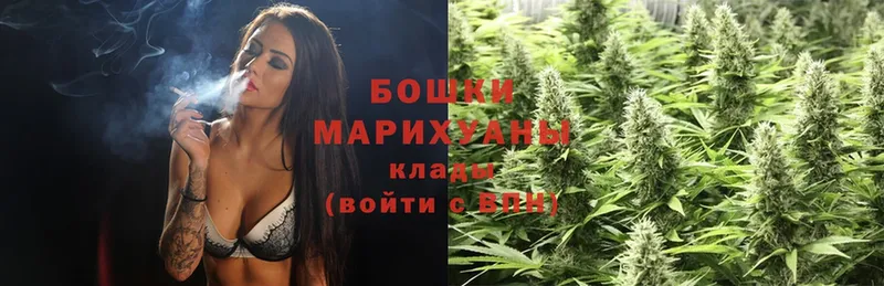 дарк нет клад  купить закладку  Приволжск  Каннабис White Widow 